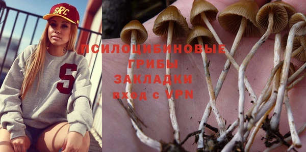 каннабис Аркадак