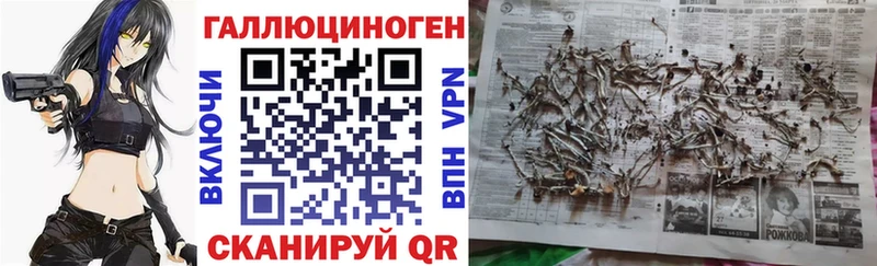 Галлюциногенные грибы GOLDEN TEACHER  Купить закладки  Городовиковск 