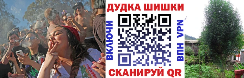 Купить закладки  Городовиковск  Конопля White Widow 
